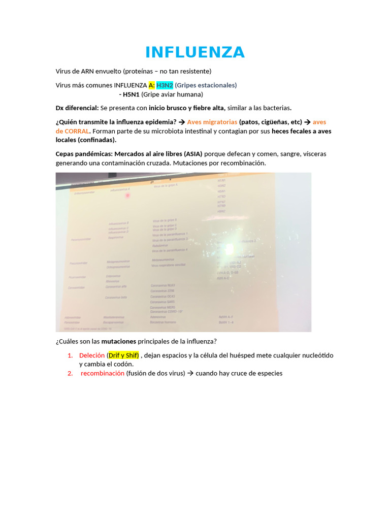 INFLUENZA | PDF | Influenza | Virus de la Influenza A Subtipo H5 N1
