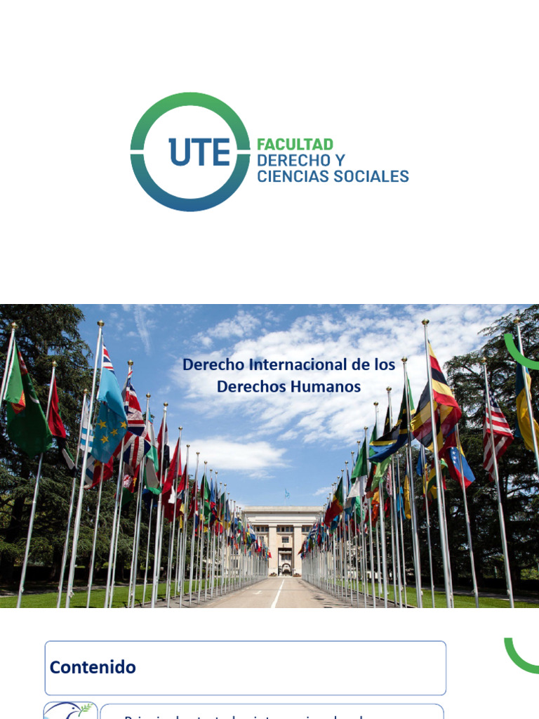Derecho Internacional de Los DDHH | PDF | Convenio europeo de derechos ...