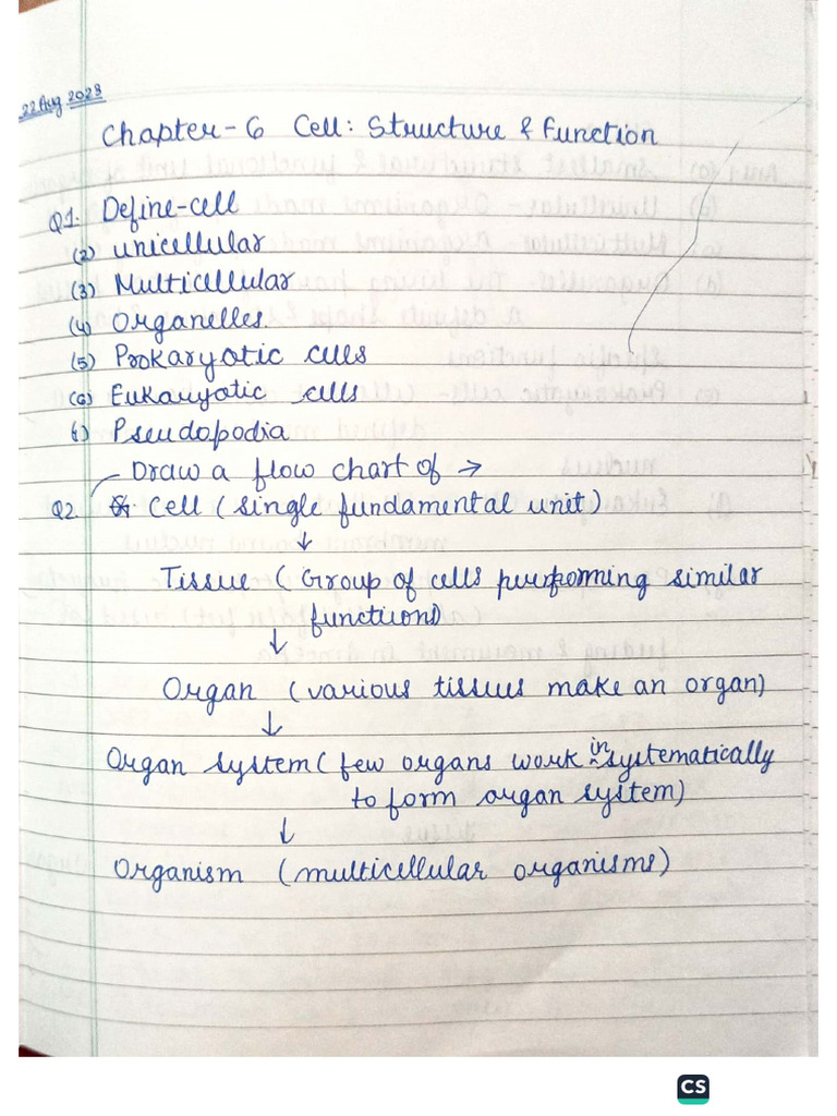 Cell Structure and Function | PDF