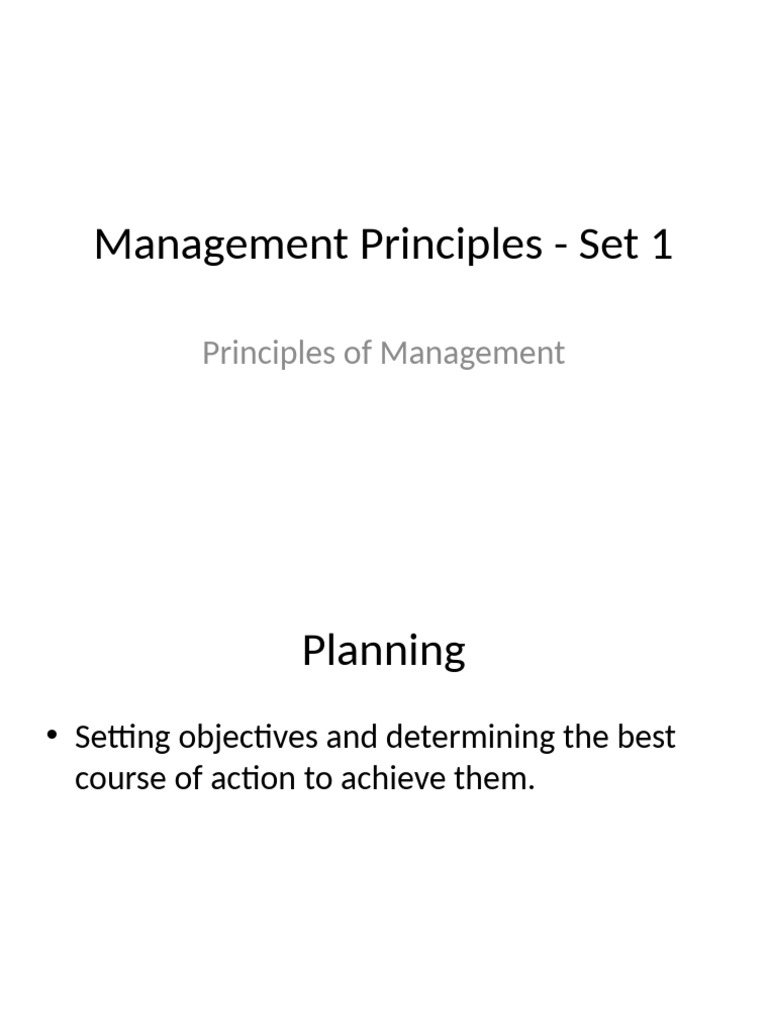 Management Principles 101 | PDF