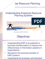 Understanding Enterprise Resource Planning Systems
