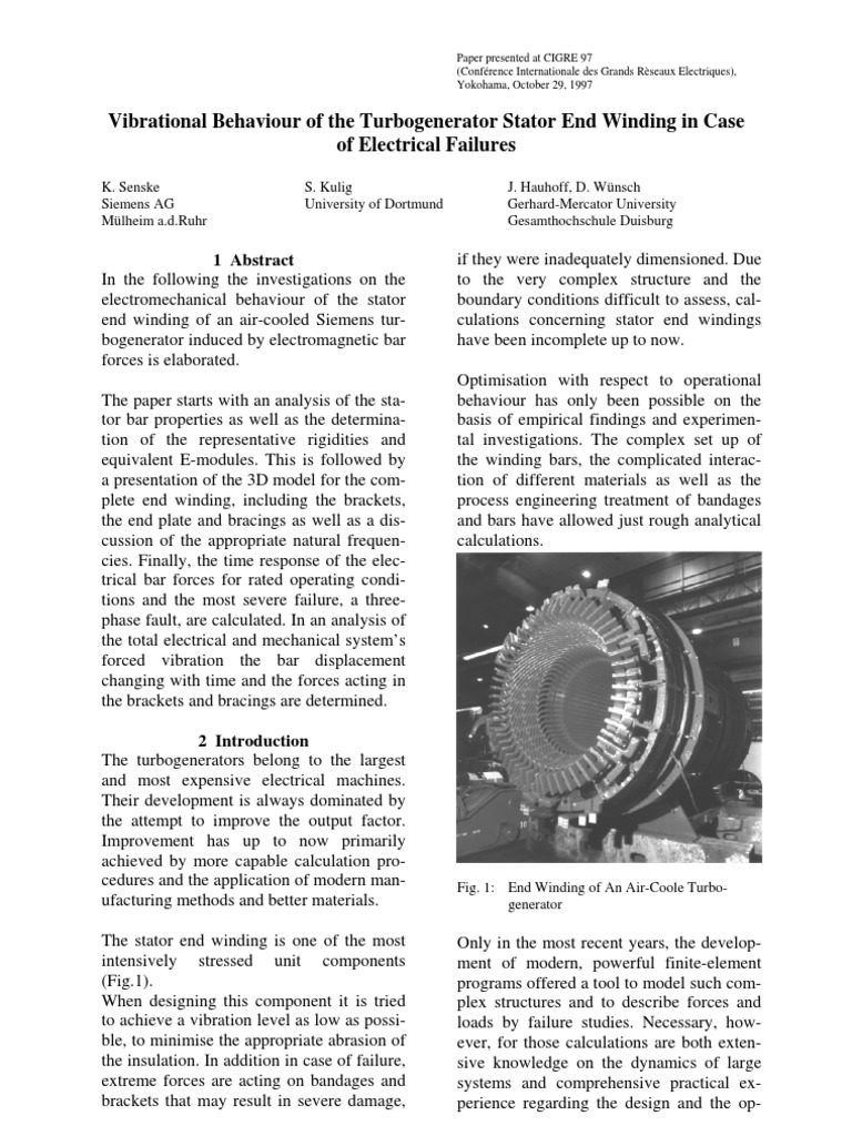 Vibrational Behaviour of The Turbo Generator Stator End Winding in Case