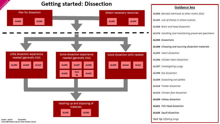GL435 Getting Started Dissection | PDF
