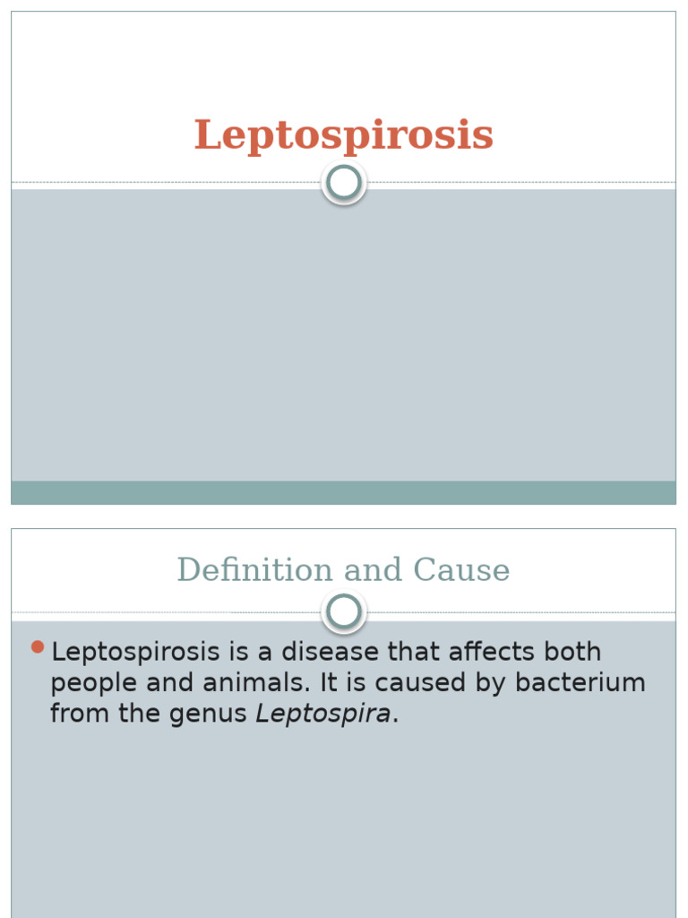 Curated Leptospiroscopy Infection Gallery View 36