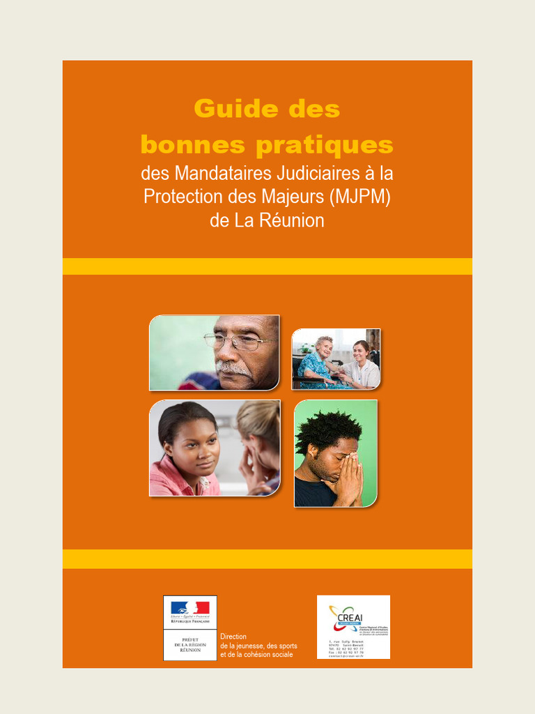 bonnes-pratiques-des-mjpm-la-r-union-pdf-juge-greffier