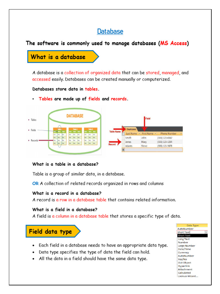 Understanding Database Basics and Data Representation | PDF | Databases ...