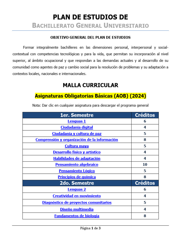 Mapa Curricular Bachillerato 2024-2025 | PDF | Plan de estudios ...