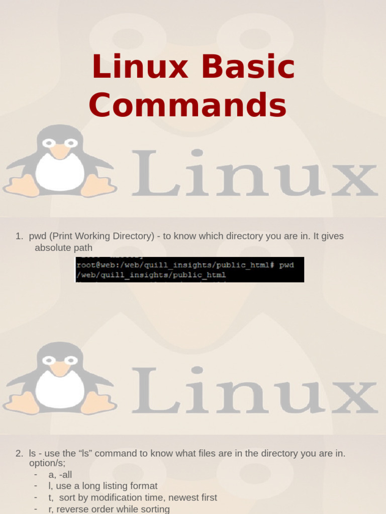 Essential Linux Commands 101 | PDF