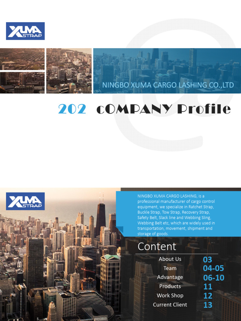 Company Presentation | PDF