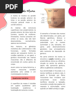 Anatomia e Fisiologia das Mamas | PDF | Seio | Anatomia