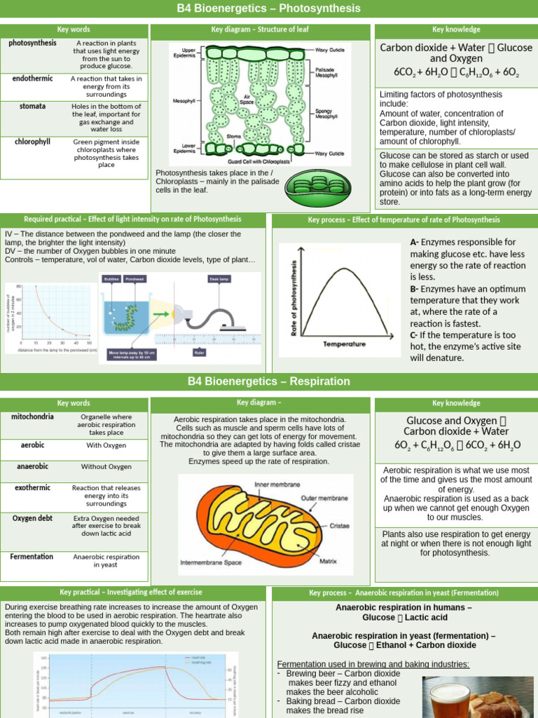 B4 Triple Bioenergetics Knowledge Maps | PDF | Cellular Respiration ...
