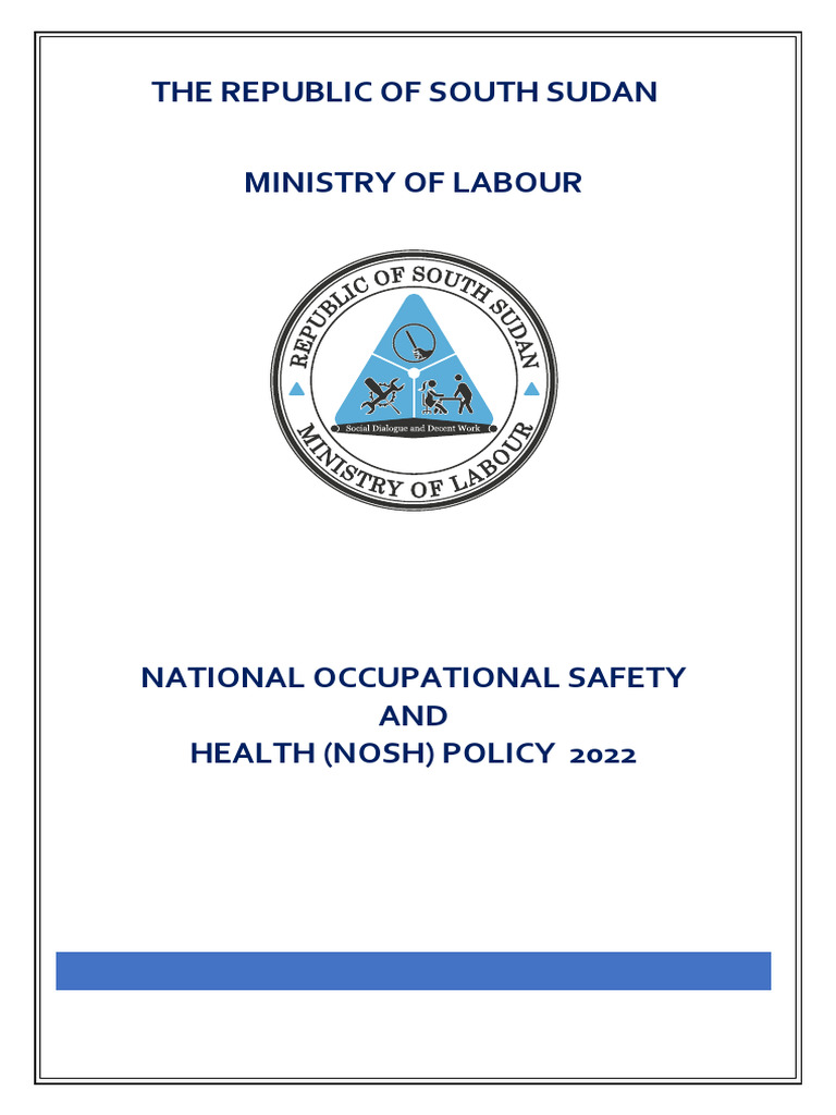 NOSH Policy Framework for South Sudan | PDF | Occupational Safety And ...