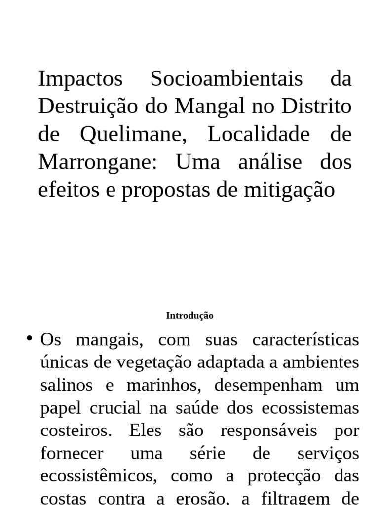 impactos-da-destrui-o-dos-mangais-em-quelimane-pdf-mangue