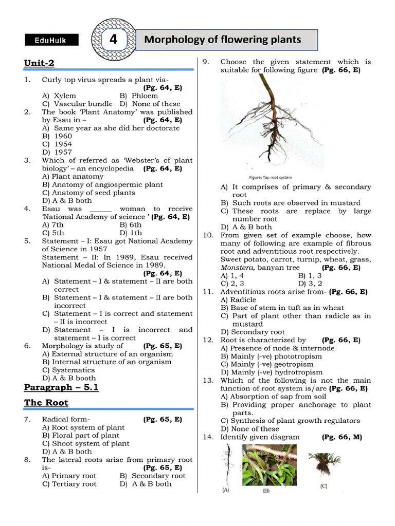 CH5. Morphology of Flowering Plants | PDF