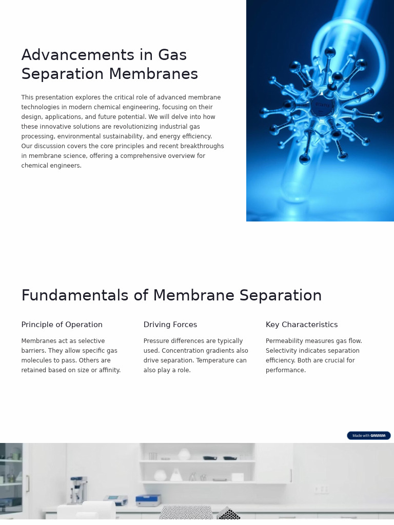 Advanced Gas Separation Membranes | PDF | Membrane | Gases