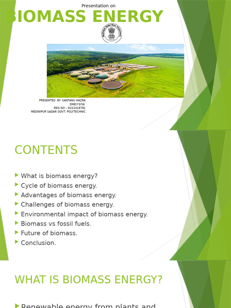 Biomass Energy | PDF