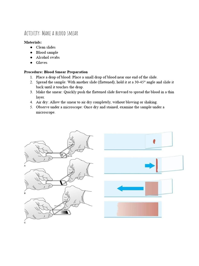 Activity 1 | PDF