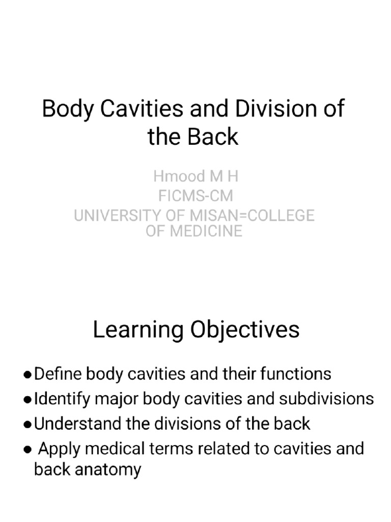 L6 | PDF