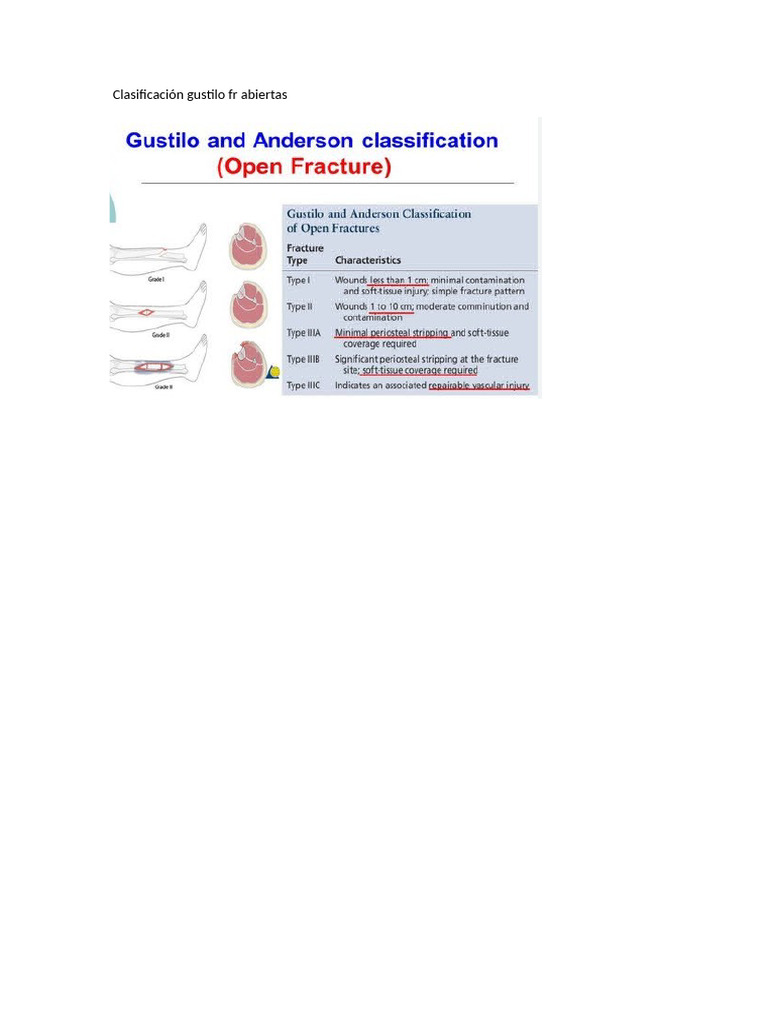 FR Abiertas Clasif Gustilo | PDF