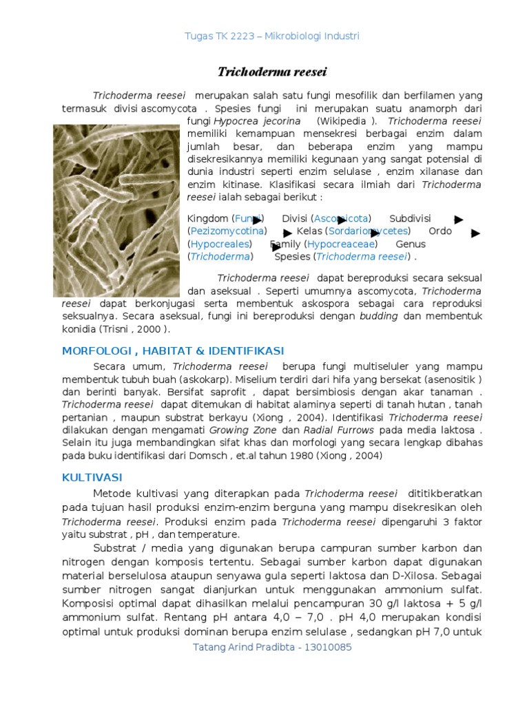 Potensi Trichoderma reesei dalam Industri | PDF