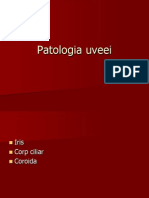 Patologia Uveei