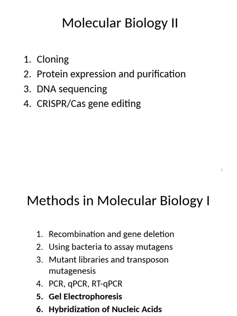 16+ +Methods+in+Molecular+Biology+II+Fall+2024 | PDF | Molecular ...