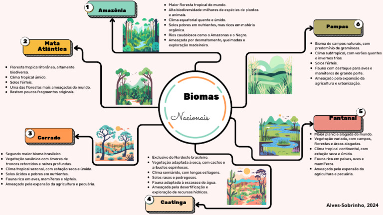 Mapa Mental dos Biomas Brasileiros | PDF | Florestas | Pasto