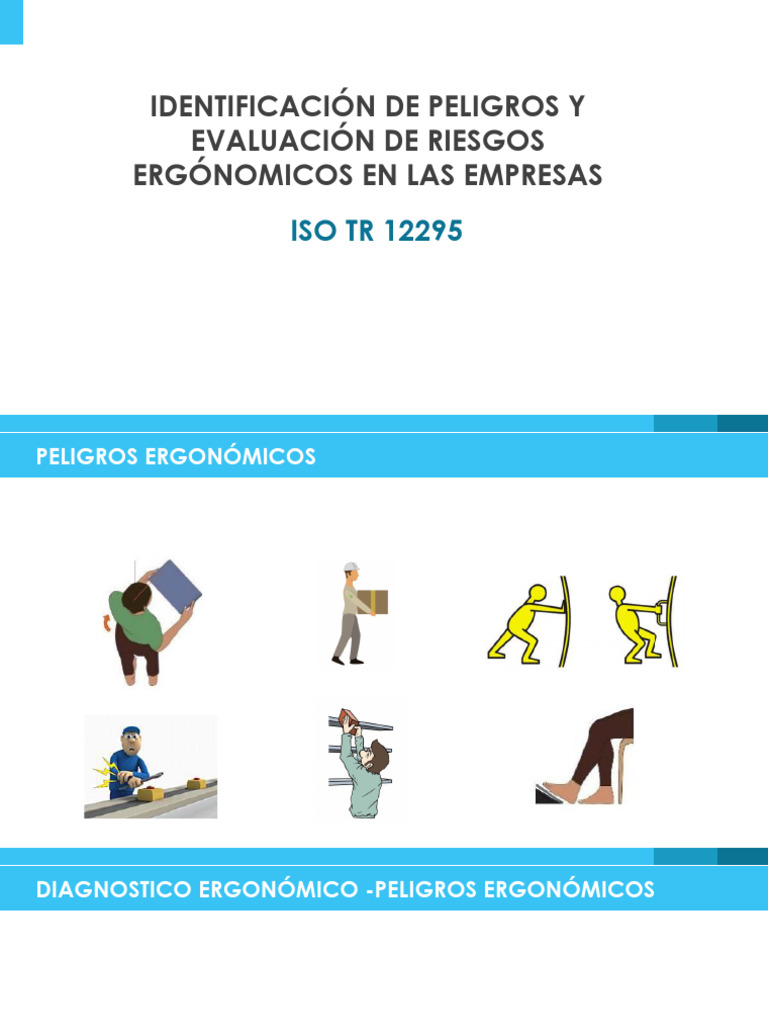 Identificacion Peligros Isotr12295 Cesap | PDF | Fuerza | Codo