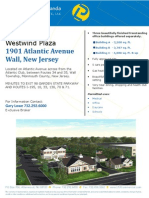 Westwind Professional Plaza Flyer