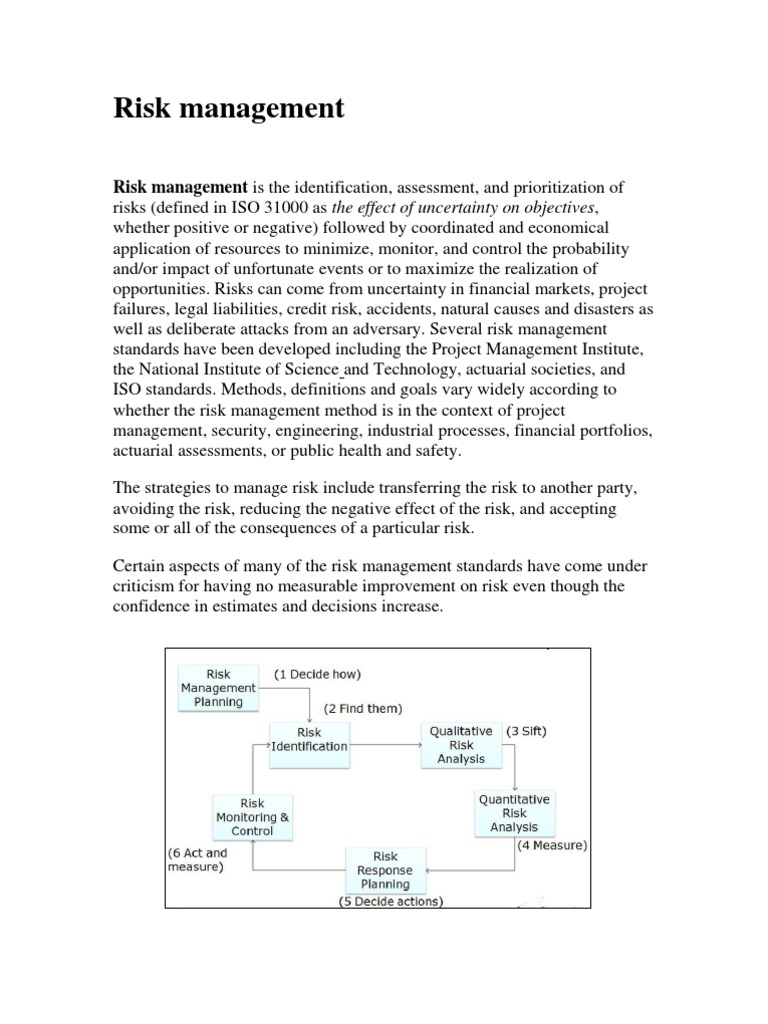 Risk Management | PDF