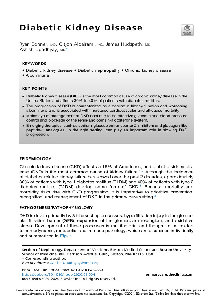 Understanding Diabetic Kidney Disease | PDF | Chronic Kidney Disease ...