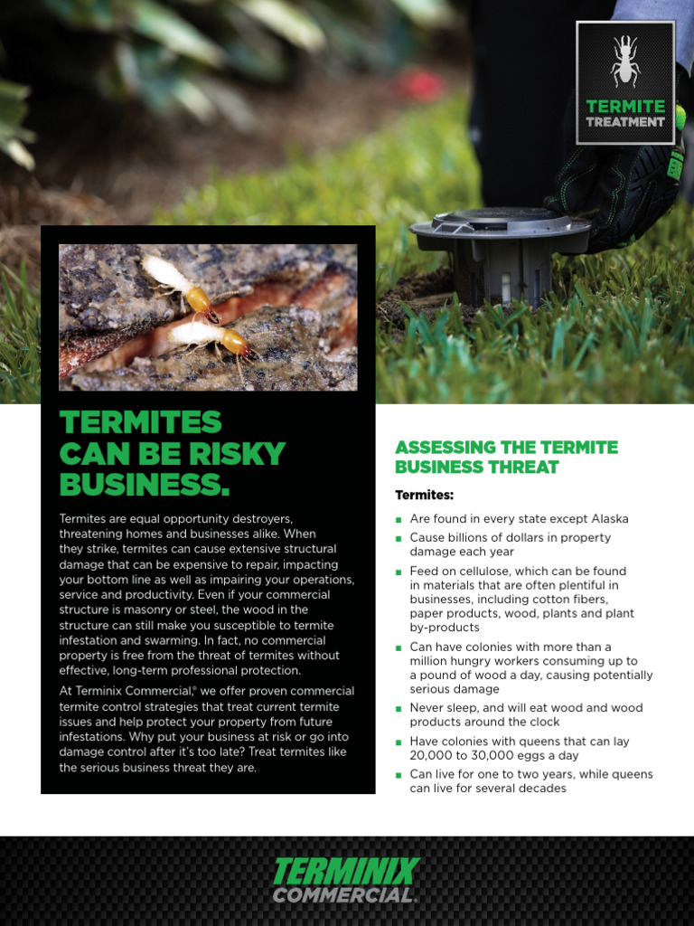 All Sector Terminix Commercial Termites | PDF | Insects | Zoology