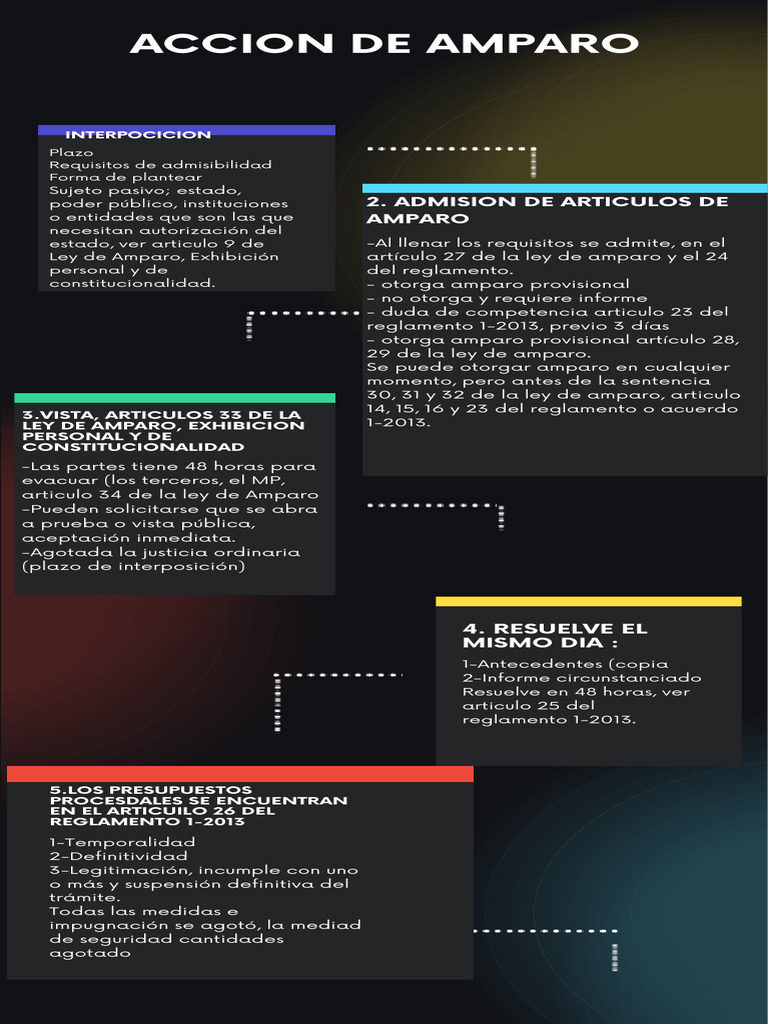 Guía sobre la Acción de Amparo | PDF | Justicia | Crimen y violencia