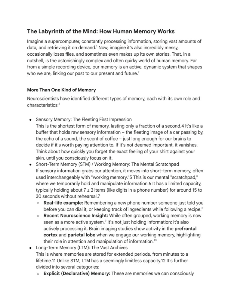 The Labyrinth of The Mind - How Human Memory Works | PDF | Memory ...