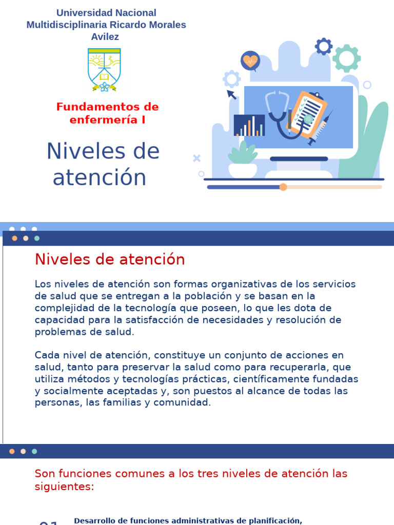 Niveles de Atención en Enfermería I | PDF | Hospital | Cuidado de la salud