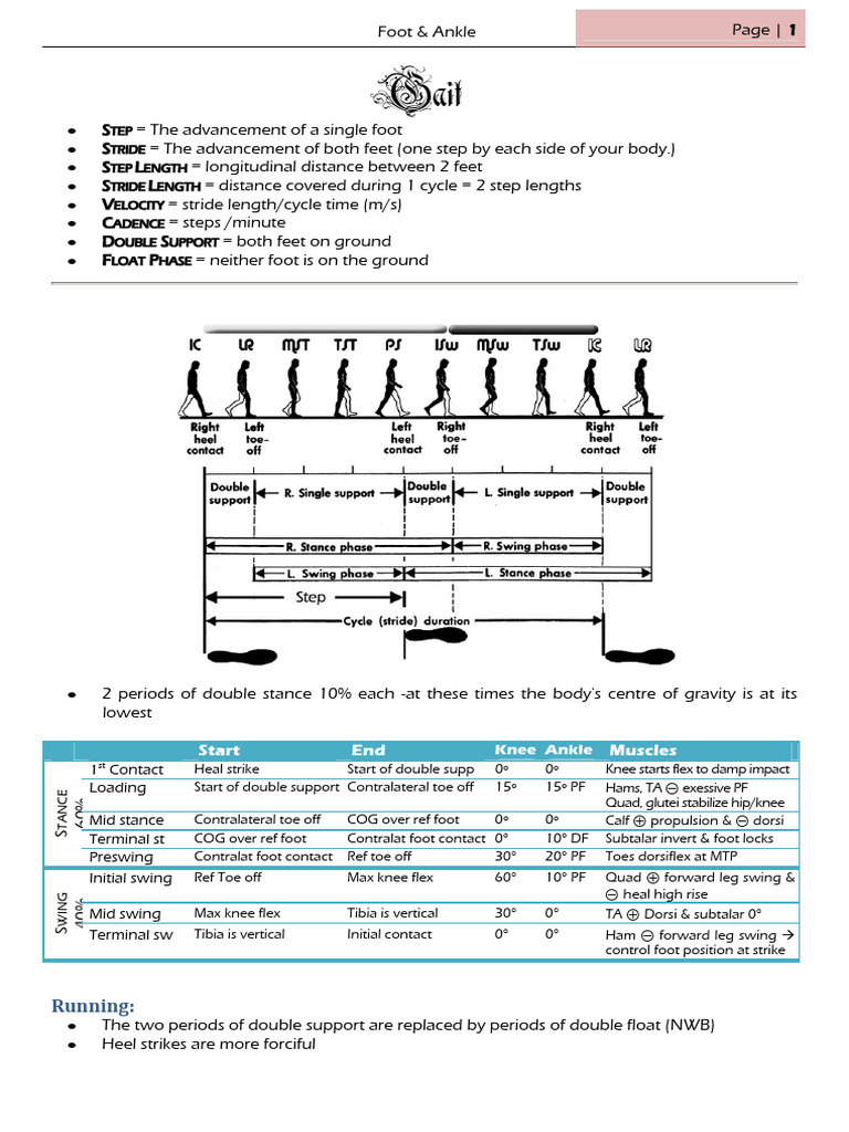 Hallux Valgus and Gait Analysis | PDF | Ankle | Foot
