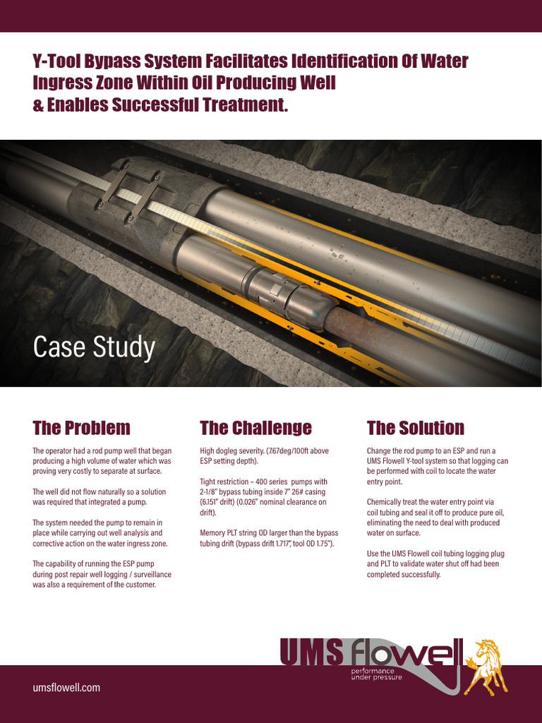 Y-Tool System for Water Ingress Treatment | PDF | Pump | Chemical ...