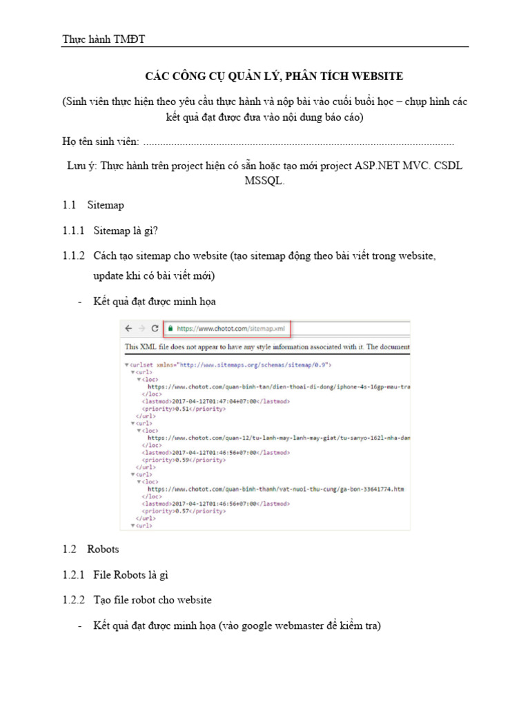 Lab 4 Cong Cu QL PT Website TMDT | PDF