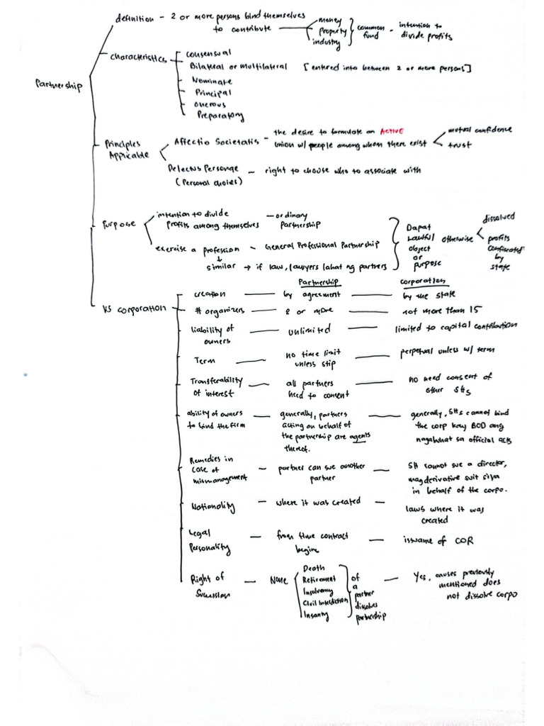 3 Partnership CPALE Notes | PDF