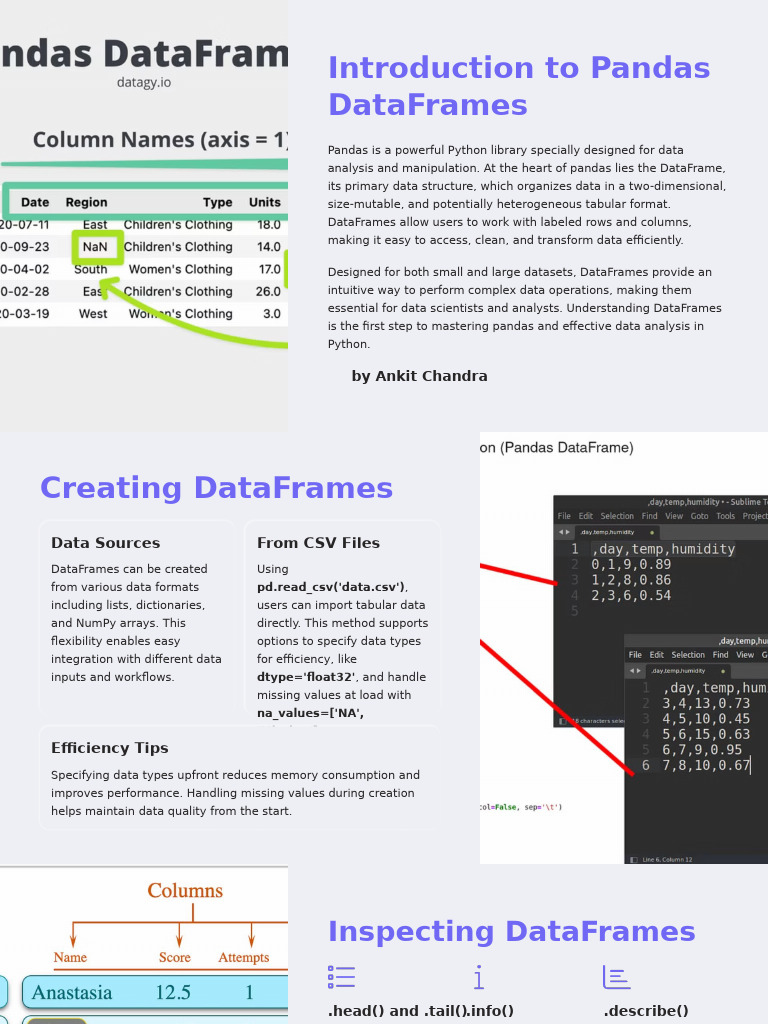 Introduction to Pandas DataFrames | PDF | Data | Computer Science