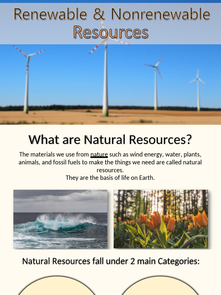Understanding Natural Resources Types | PDF | Renewable Energy | Fuels