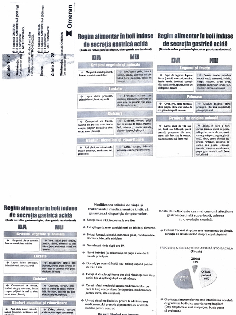 BRGE Nou | PDF