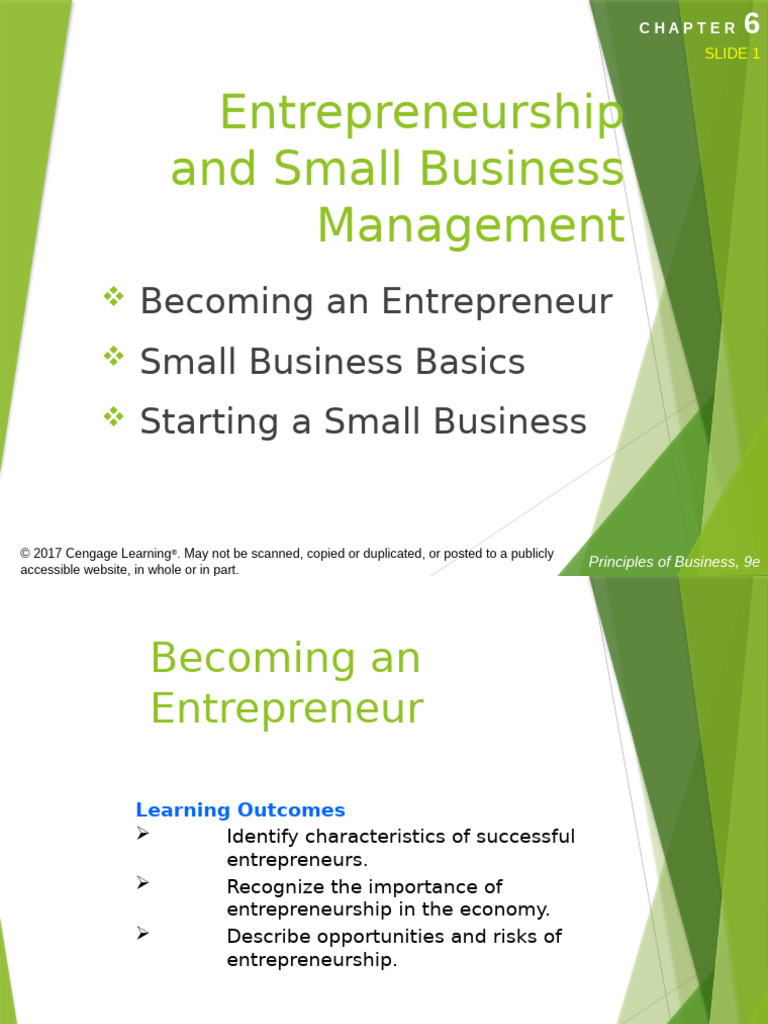 Small Business and Entrepreneurship | PDF | Entrepreneurship | Business