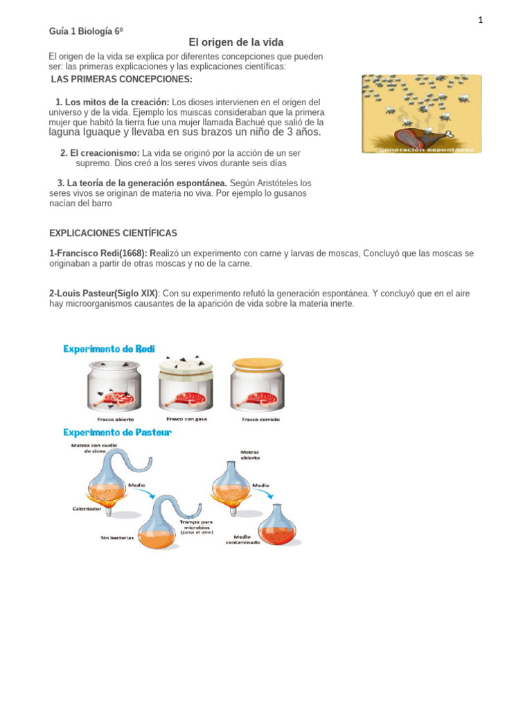 Guía 1 El Origen de La Vida | PDF | Abiogénesis | Organismos