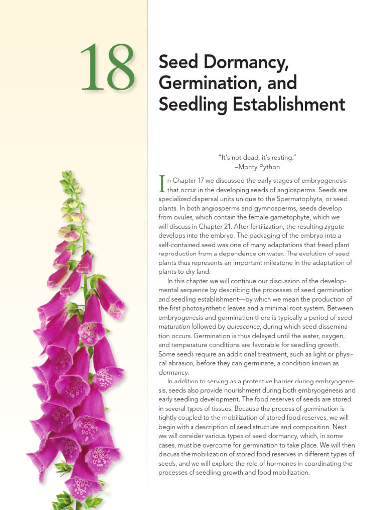 Seed Germination and Dormancy Explained | PDF | Seed | Germination