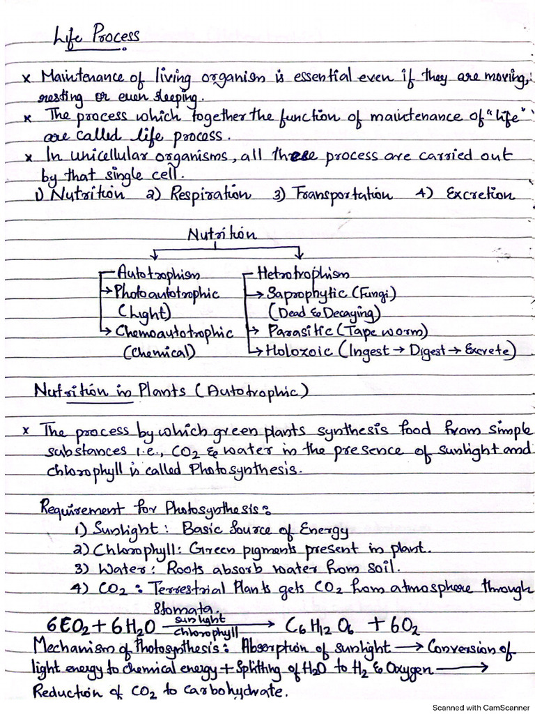 Life Process Notes | PDF
