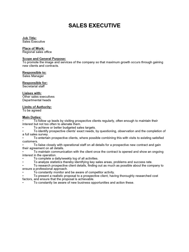 Sales Executive Job Description and Duties | PDF