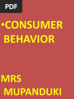 Download Consumer Behaviour by Lilliam Achom SN87259841 doc pdf