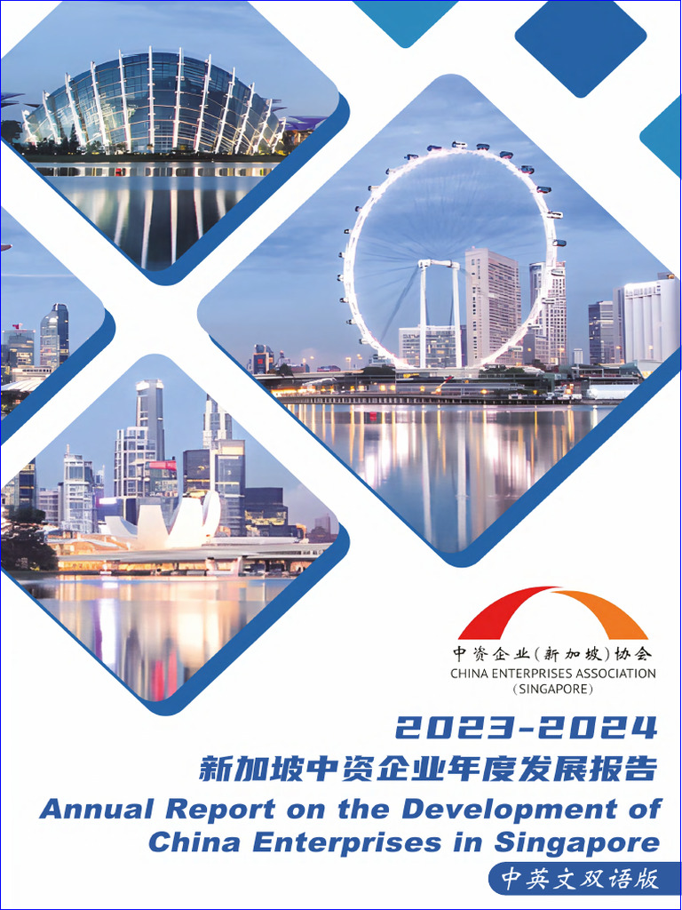 2024新加坡中资企业年度发展| PDF