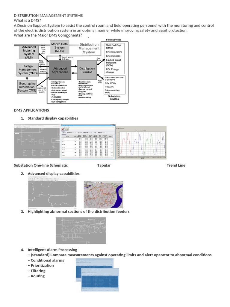 Distribution Management Systems | PDF | Information Technology | Computing